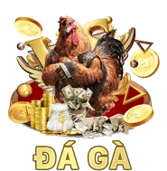 Quà Tặng Sinh Nhật & Sự Kiện
